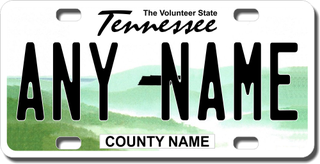 Illustration for article titled ISF custom/personalized plate ideas?